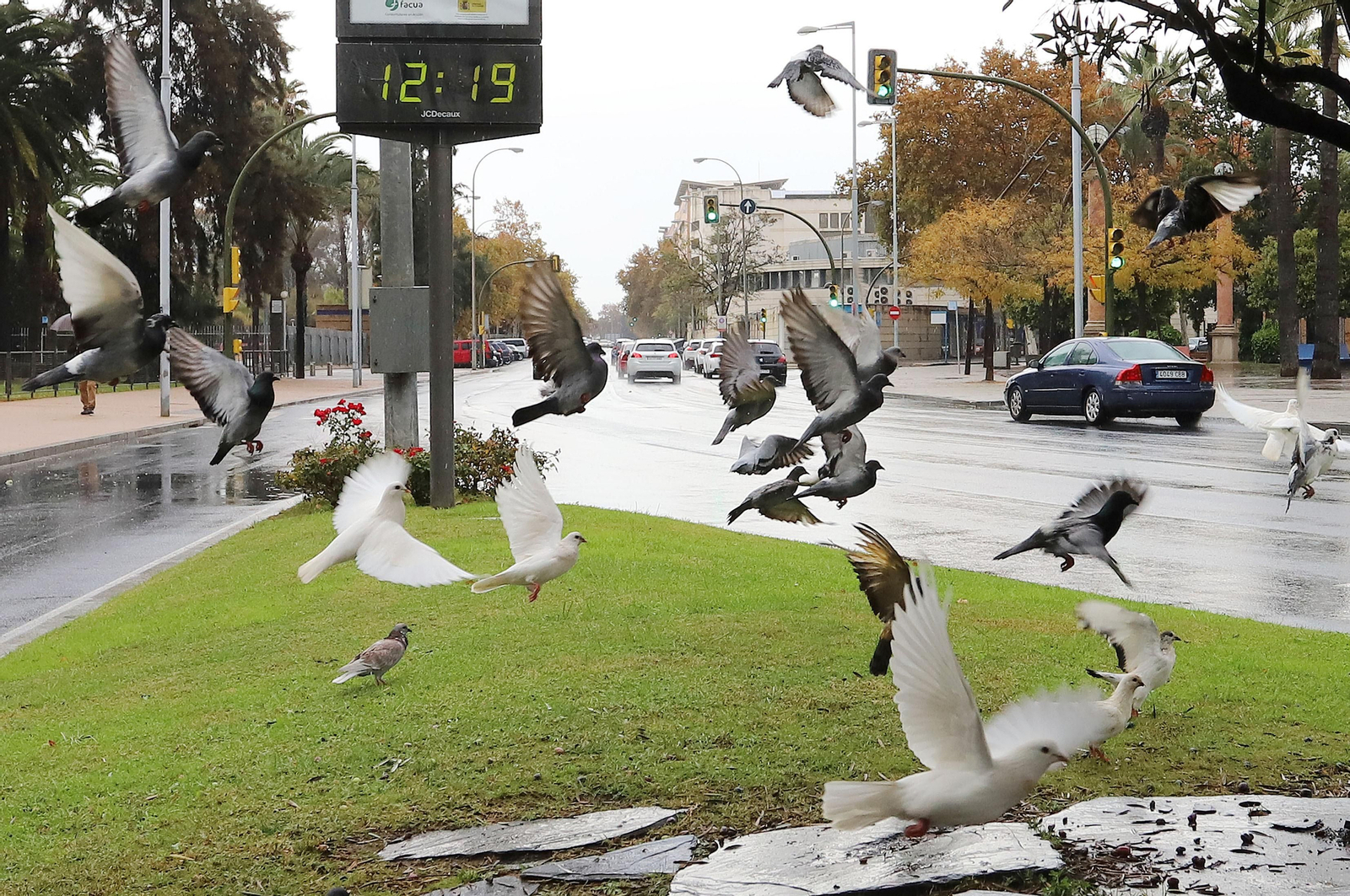 Imágenes del domingo 21 de noviembre en Huelva