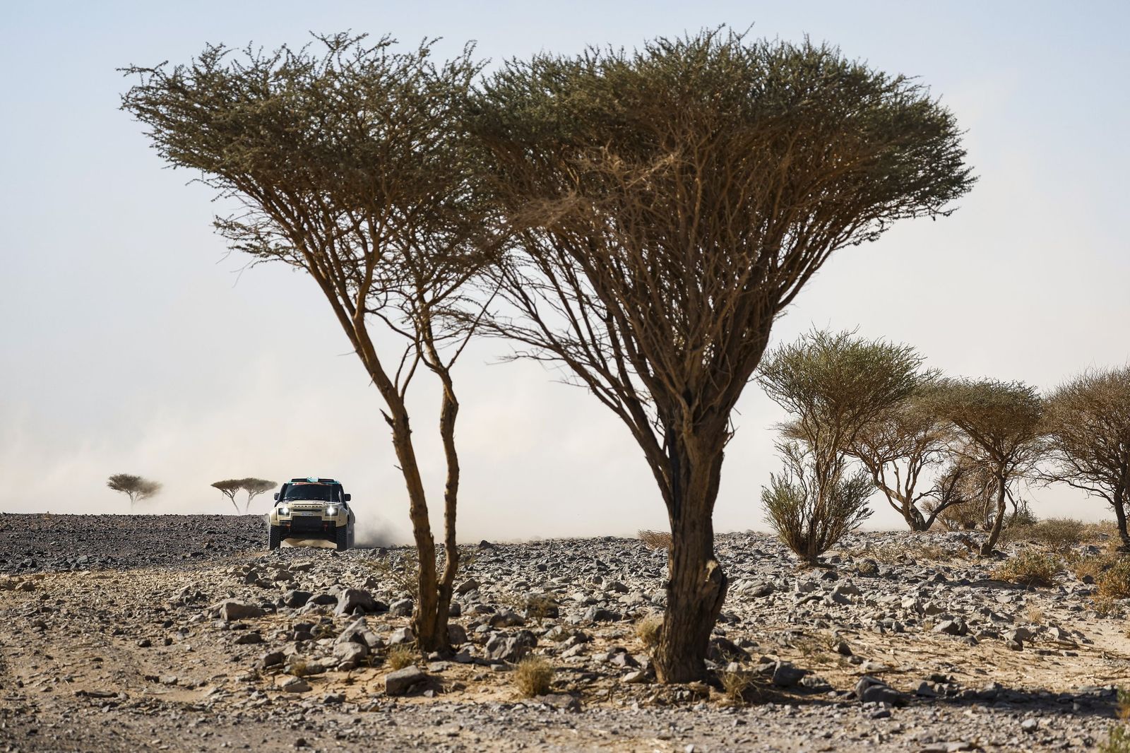 Las mejores fotos del Rally Dakar | Novena etapa