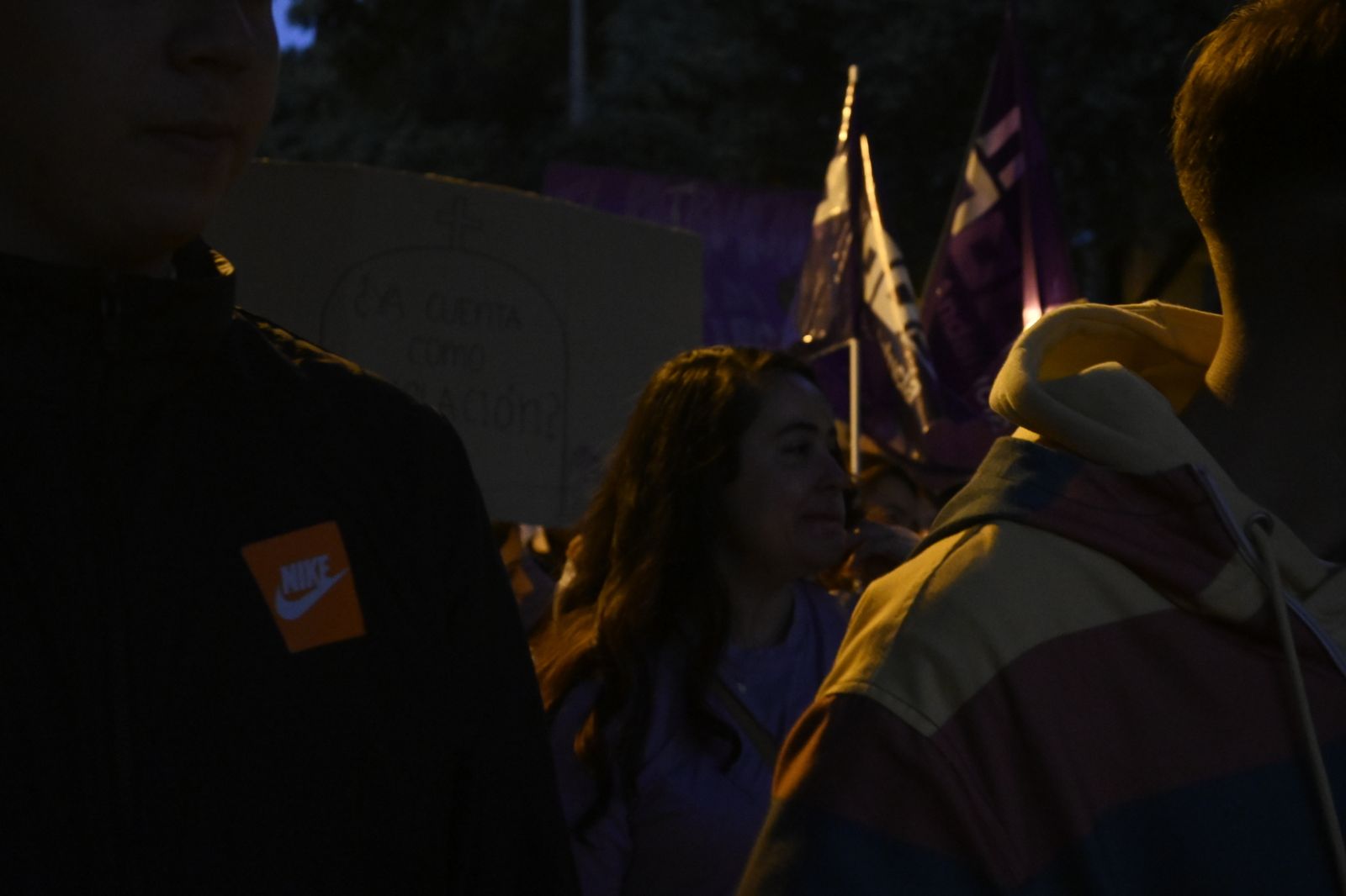 Manifestación del 25N en Imágenes.