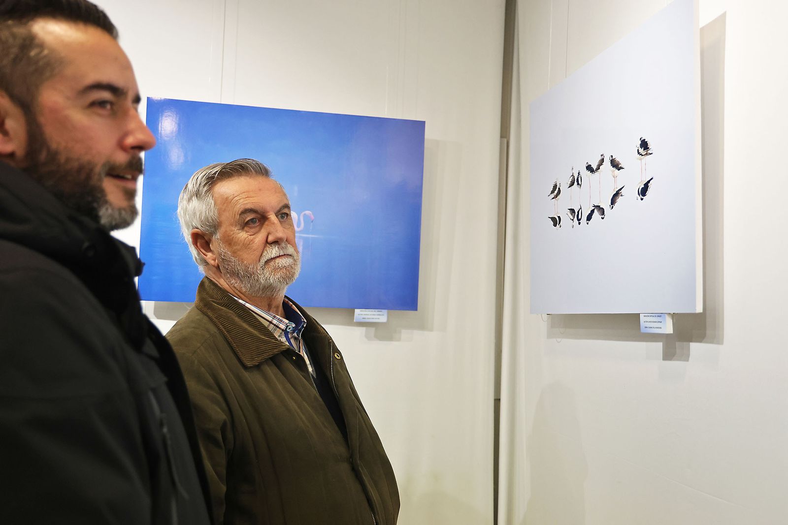 Exposición del Concurso de Fotografía 'Alas del Odiel'