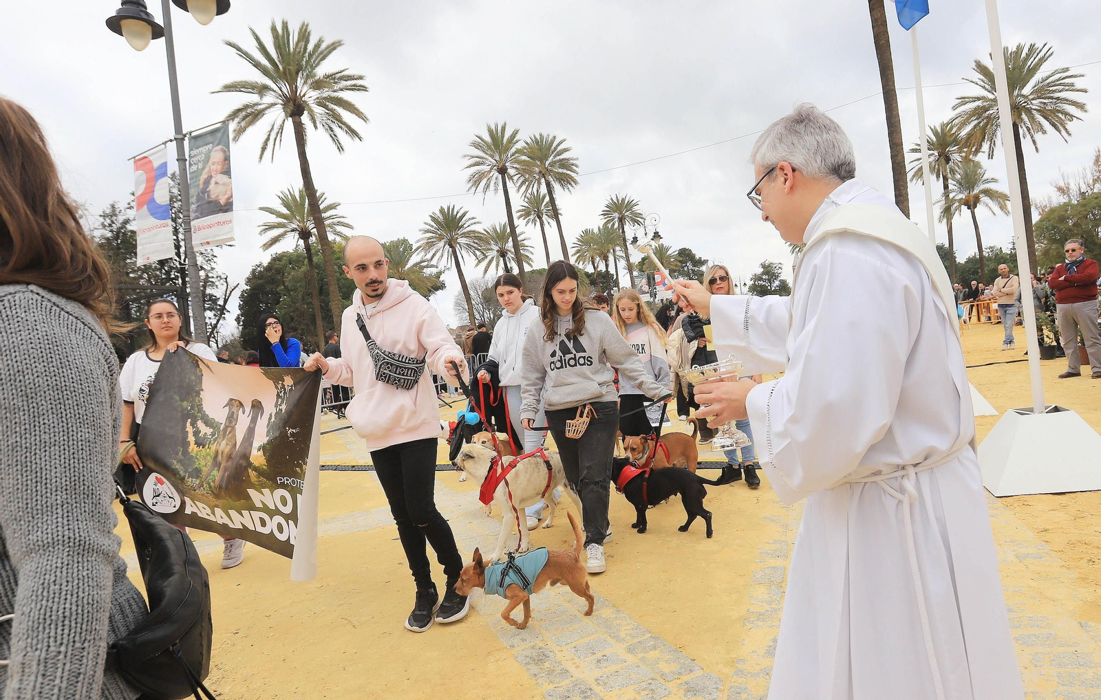 Jerez celebra San Antón 2025