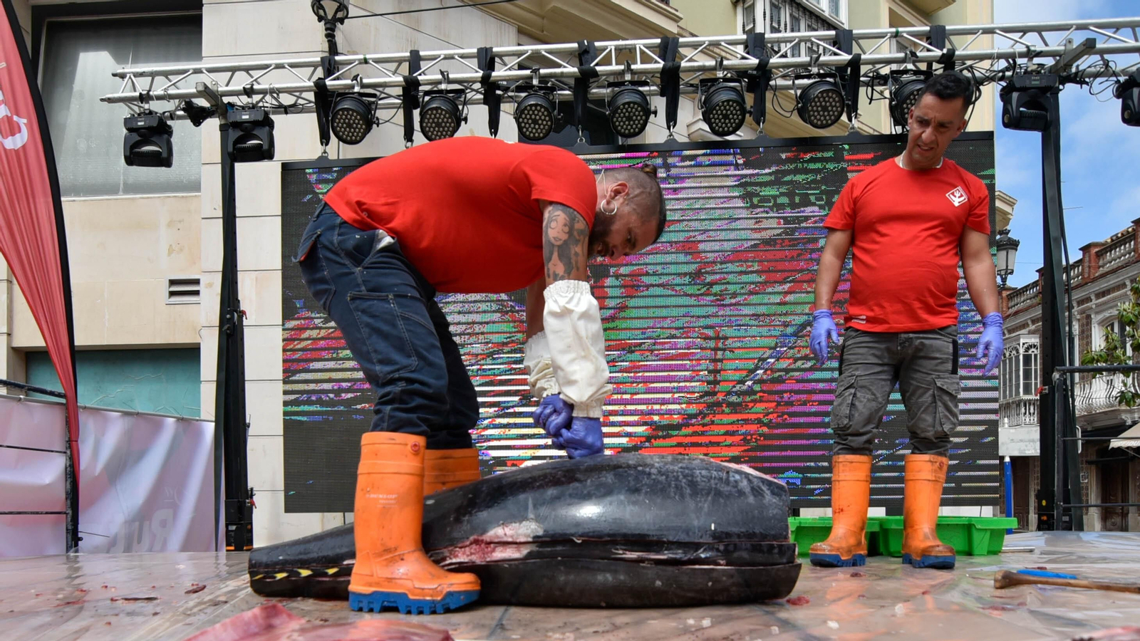 Fotos del ambiente en la Ruta del Atún de La Línea