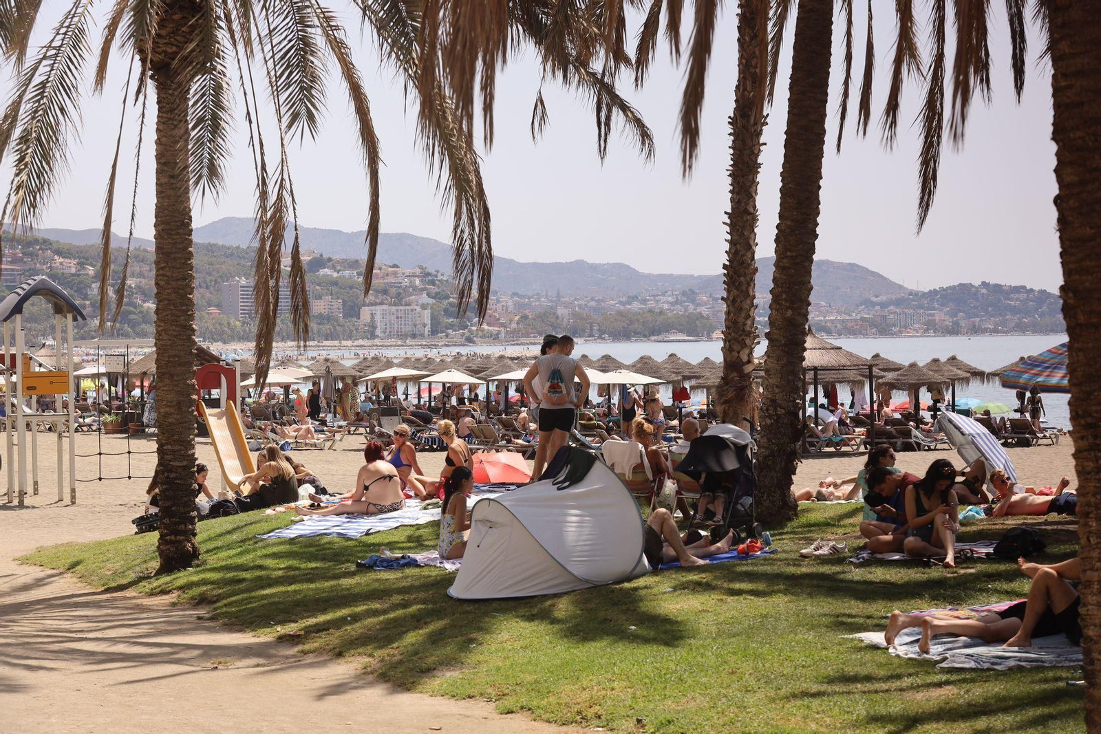 Bañistas resguardados a las sombras de las palmeras en las playas de Málaga este domingo.