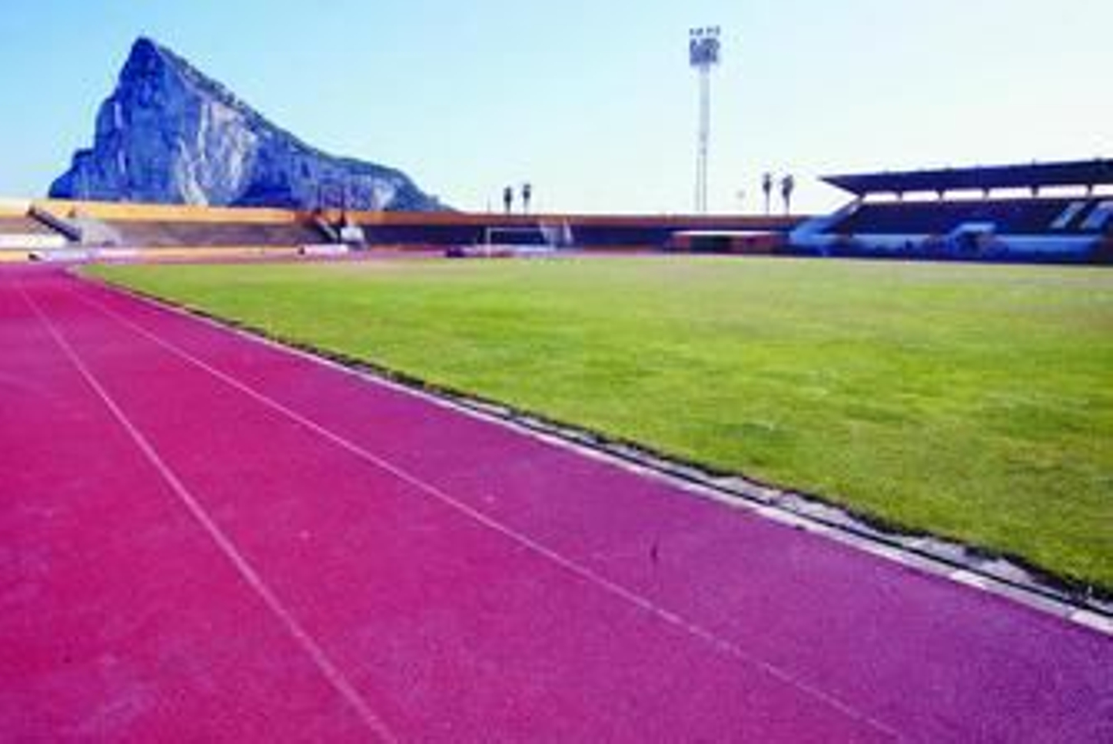 Esplendor en la hierba