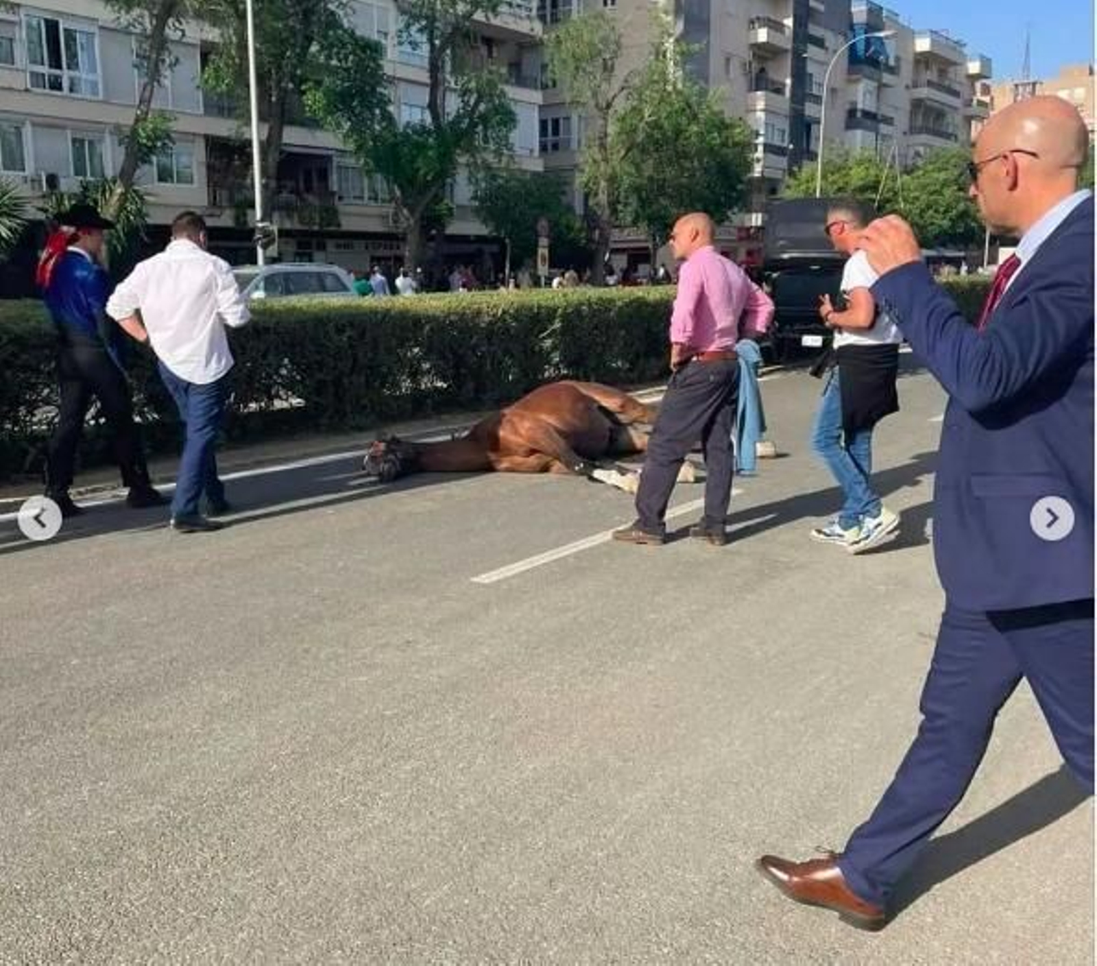 Caballo fallecido en la Feria