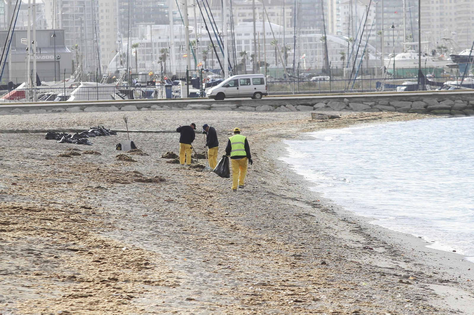 Trabajadores de un plan de empleo limpian la playa de Poniente de La Línea.