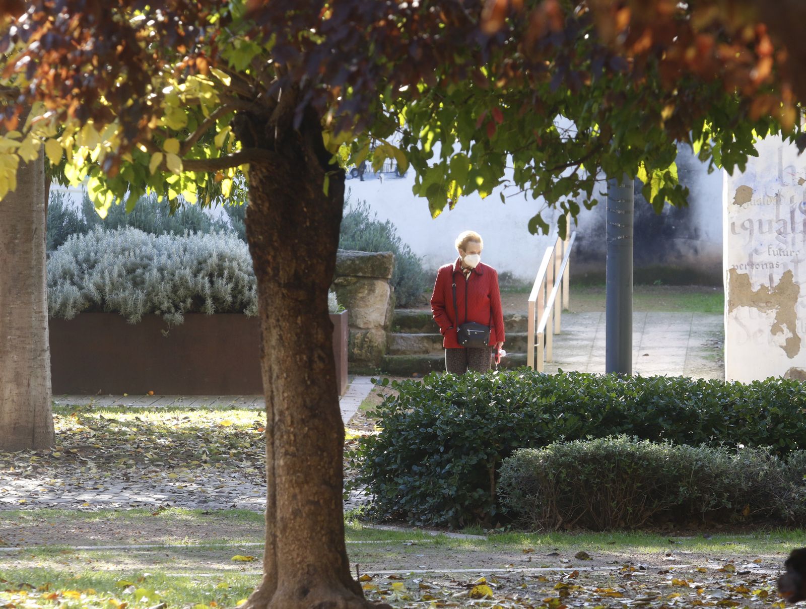El otoño en Córdoba, en fotografías