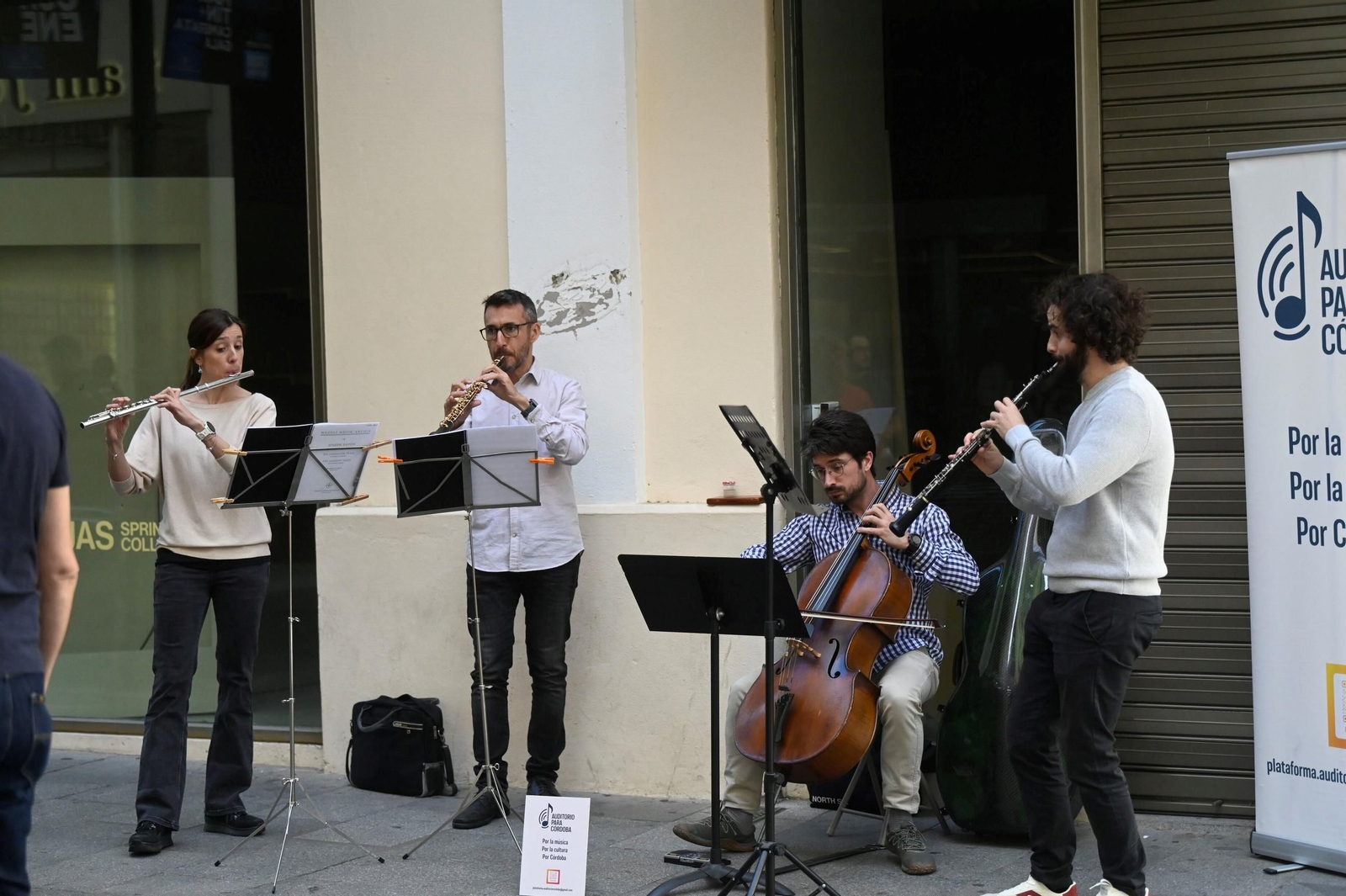 El concierto de la Plataforma Ciudadana Auditorio para Córdoba