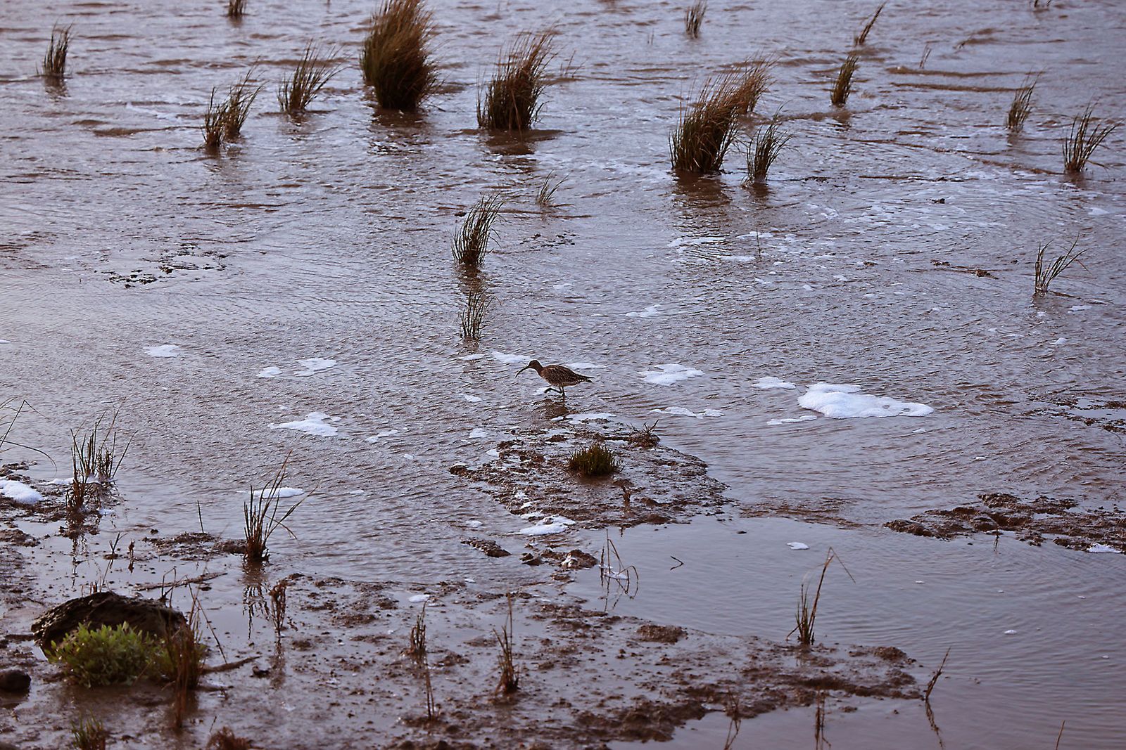 Las fotografías del lunes tarde en Huelva
