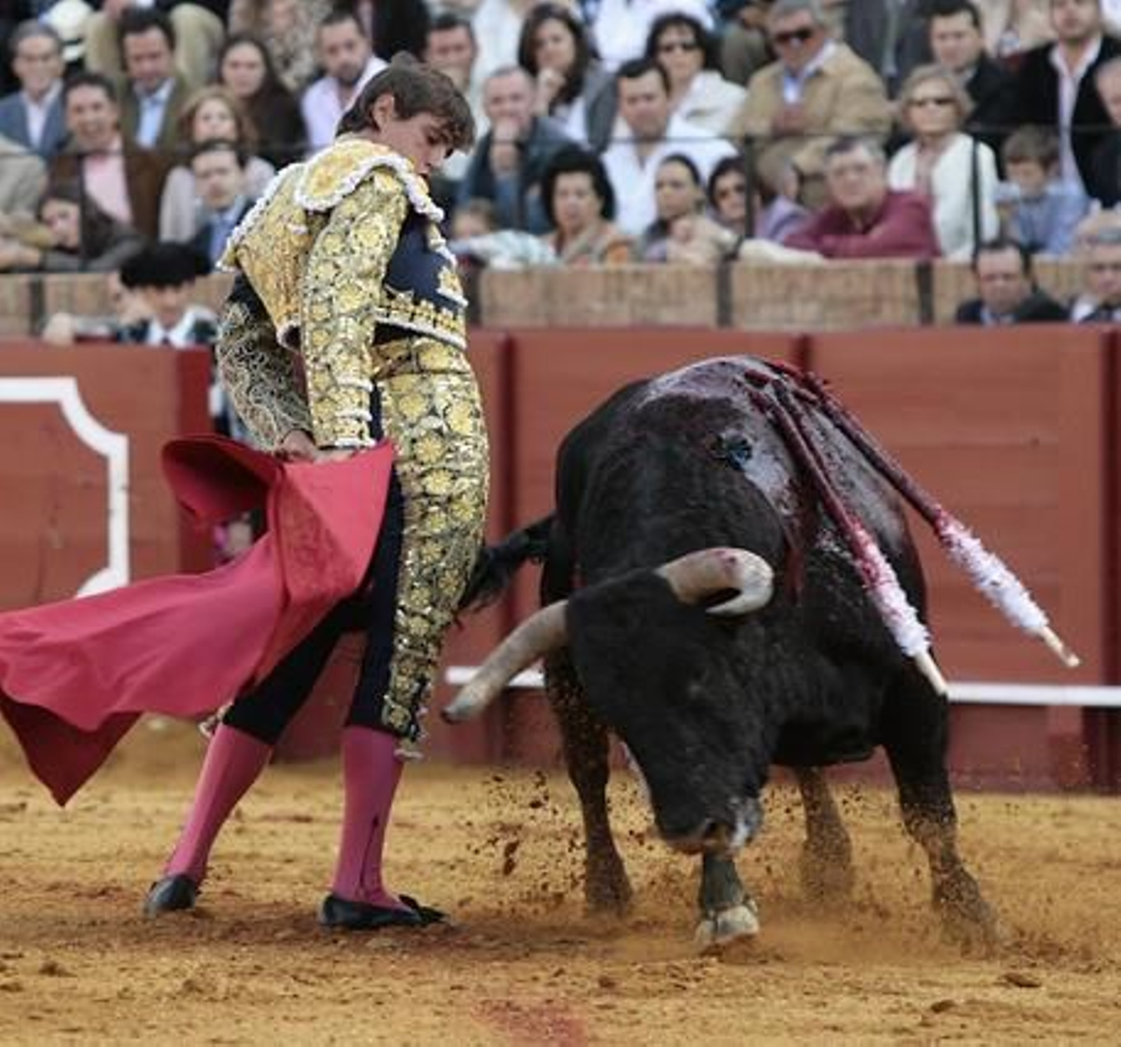 El torero sevillano Miguel Ángel Delgado, tras encarar al astado. 

Foto: Juan Carlos Muñoz