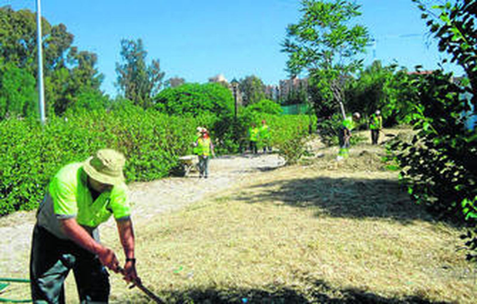 Cespa es la concesionaria de la limpieza y mantenimiento de edificios públicos y jardines.