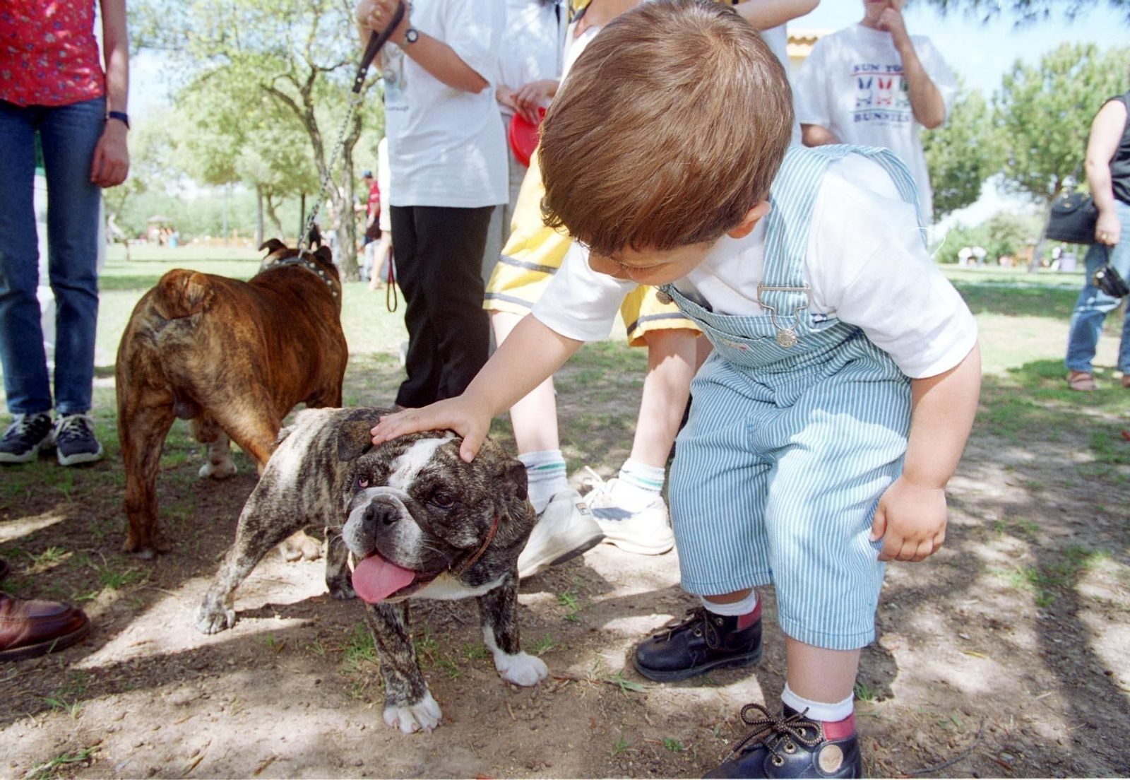 Una niño acaricia a un perro en un parque canino.