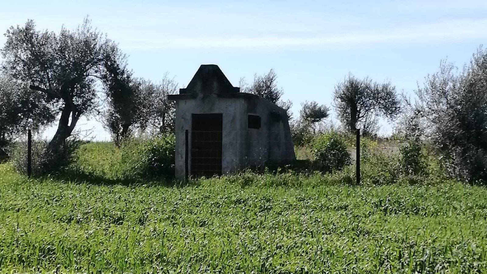Las imágenes de la ruta Valencina-Dolmend e Matarrubilla