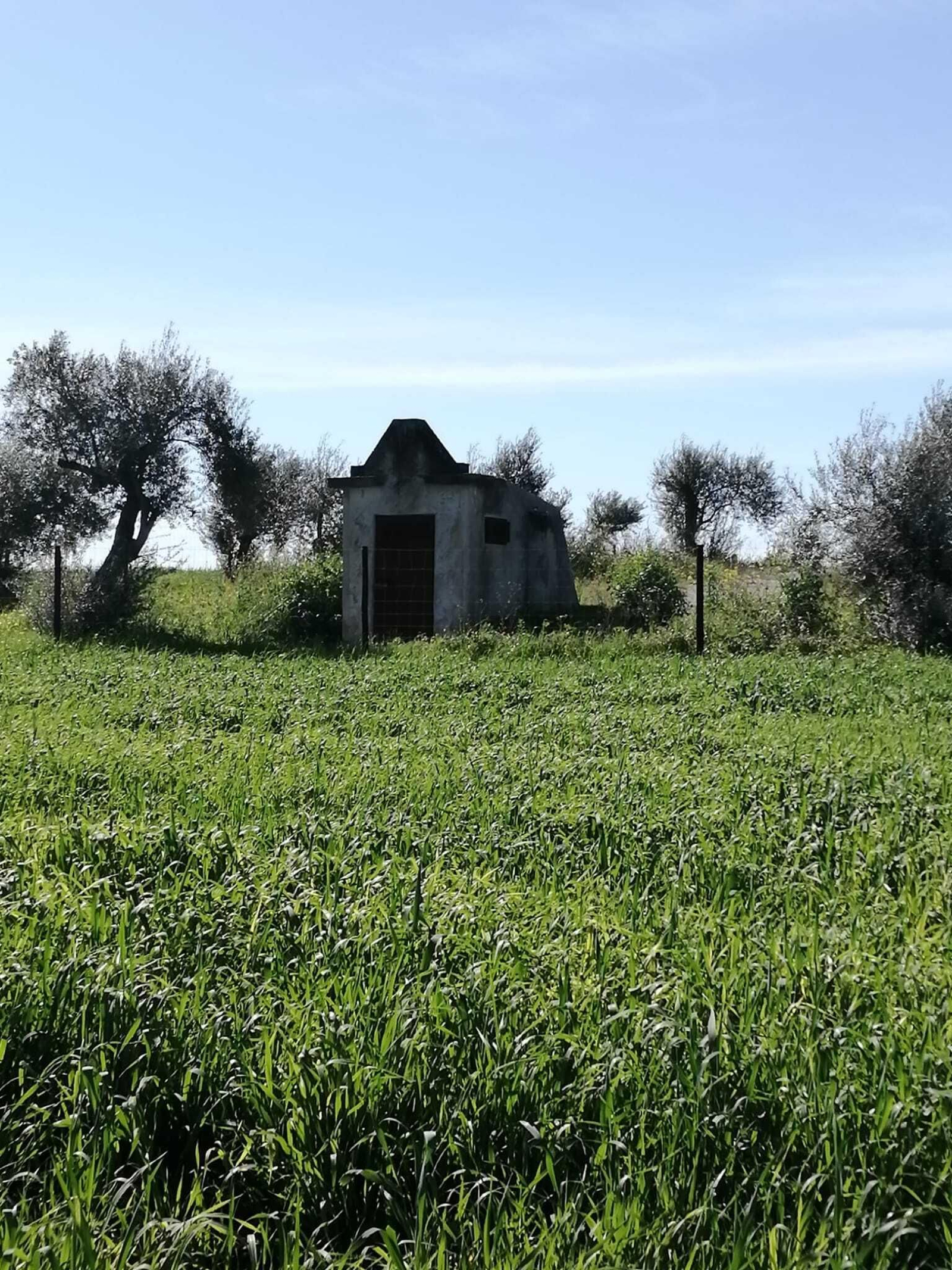 Las imágenes de la ruta Valencina-Dolmen de Matarrubilla