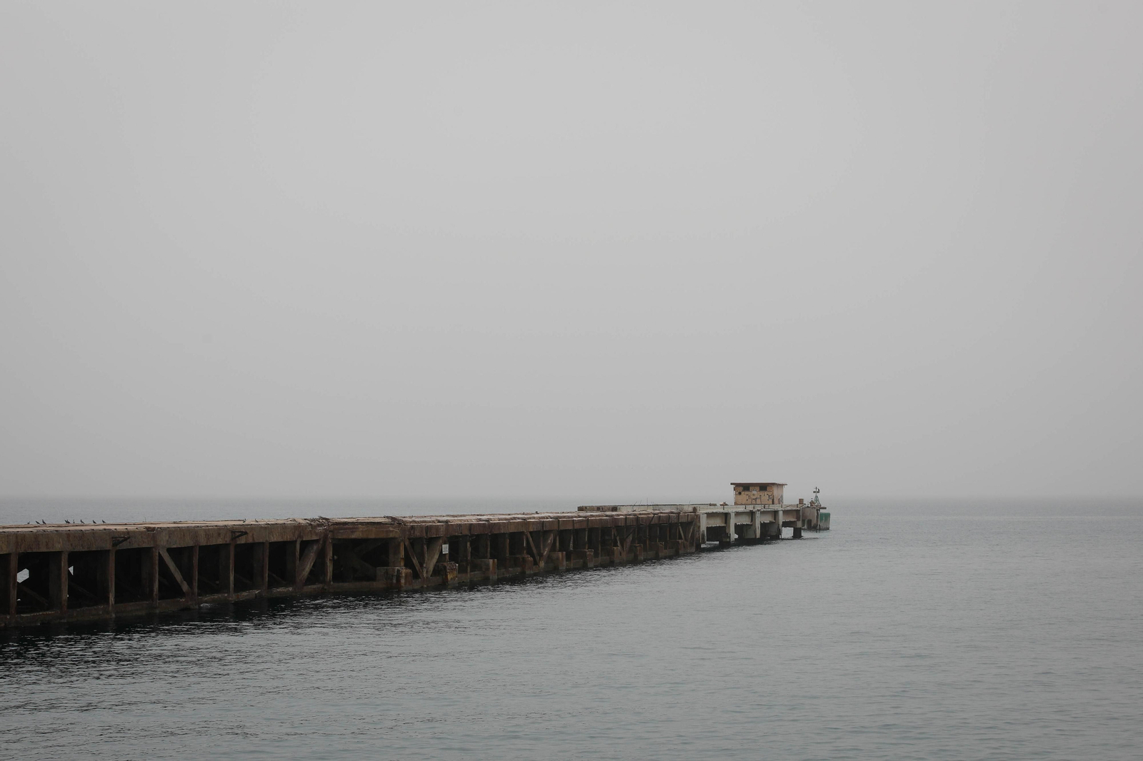 La calima de Almería en imágenes
