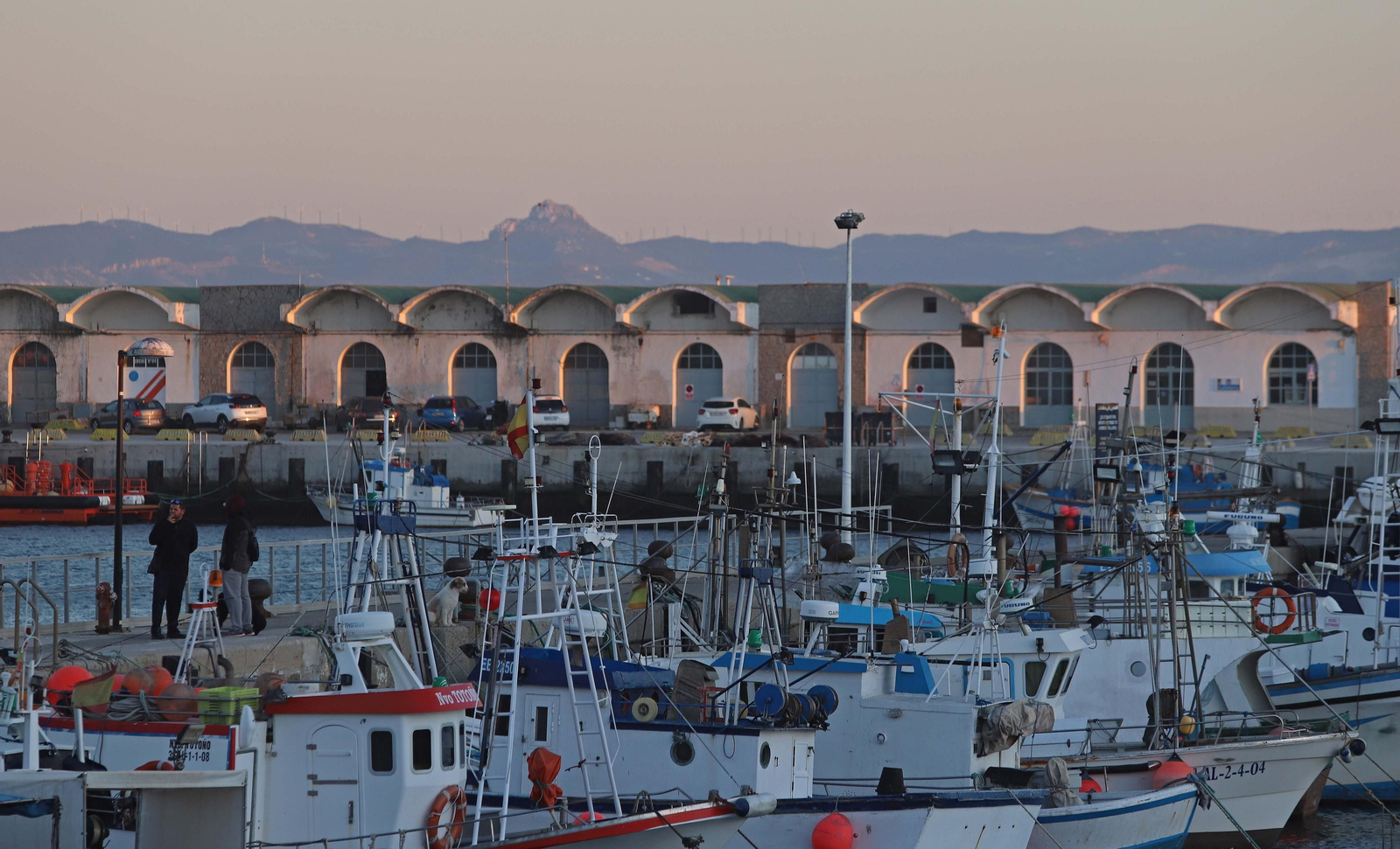 Barcos de de pesca, amarrados en el Puerto de Tarifa.