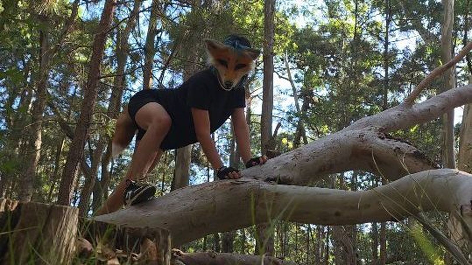 Imagen de un 'therian'