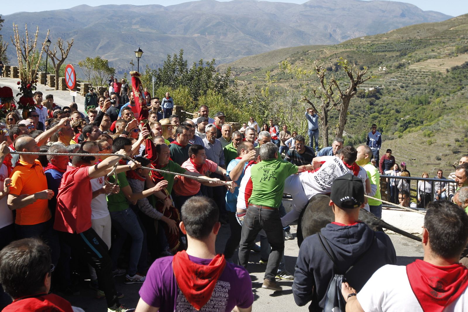 Fotogalería Tosos Ensogaos Ohanes. Fiestas San Marcos.
