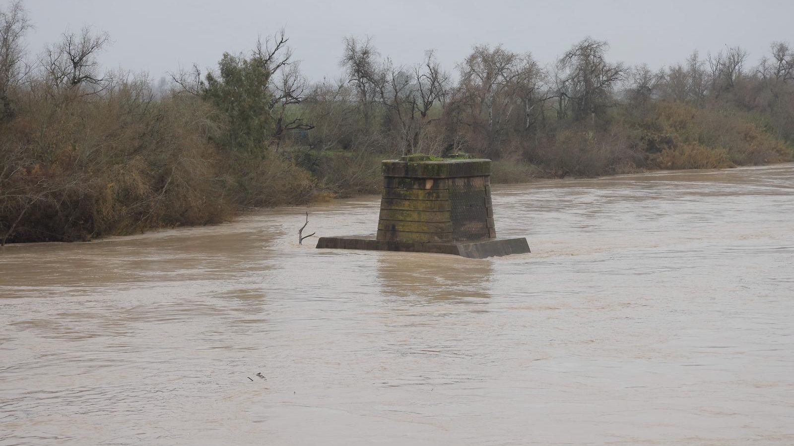 El río Guadalquivir a su paso por Villaverde del Río.