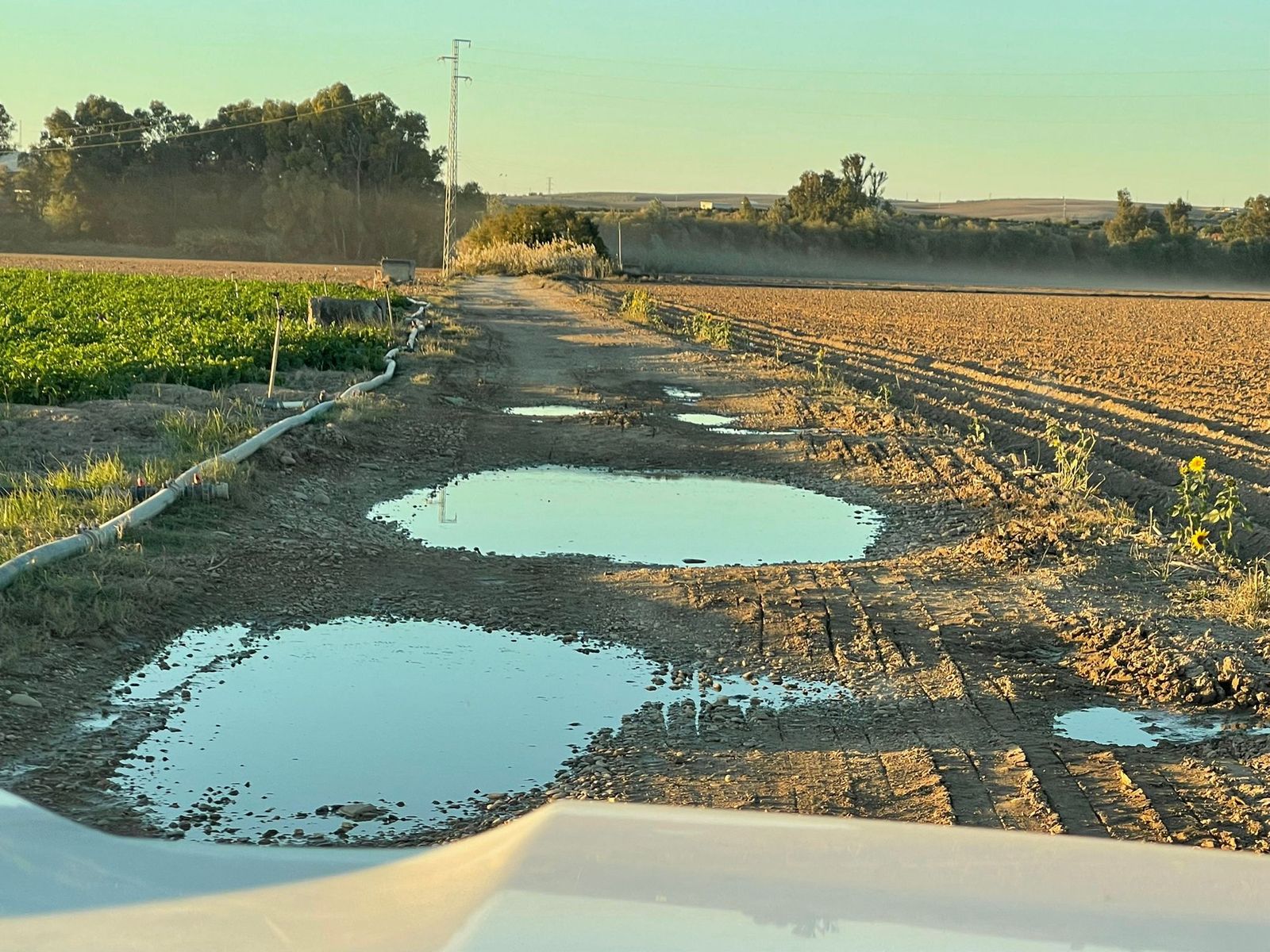 El PP denuncia el estado deplorable del Camino de La Vega