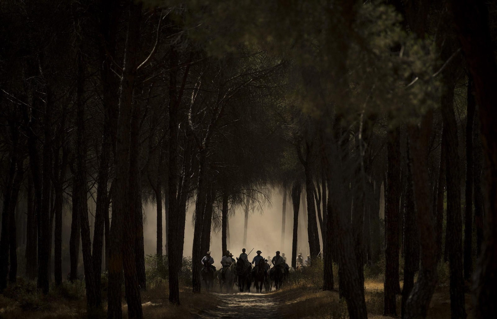 La Saca de las Yeguas, en imágenes