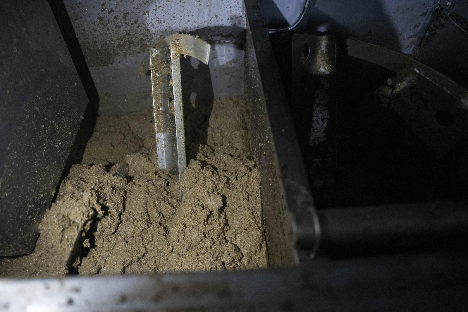 Os enseñamos como se hace el aceite en la almazara de Fiñana, en imágenes