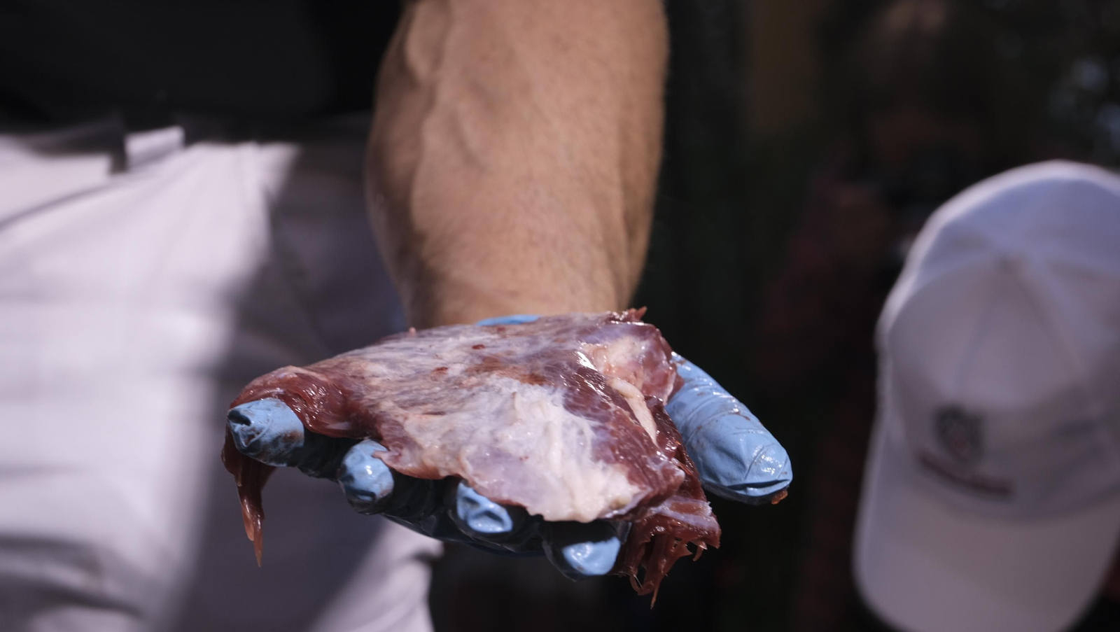 Jornadas del ronqueo del atún rojo de almadraba, en el Espacio Gastrómico Tony García.
