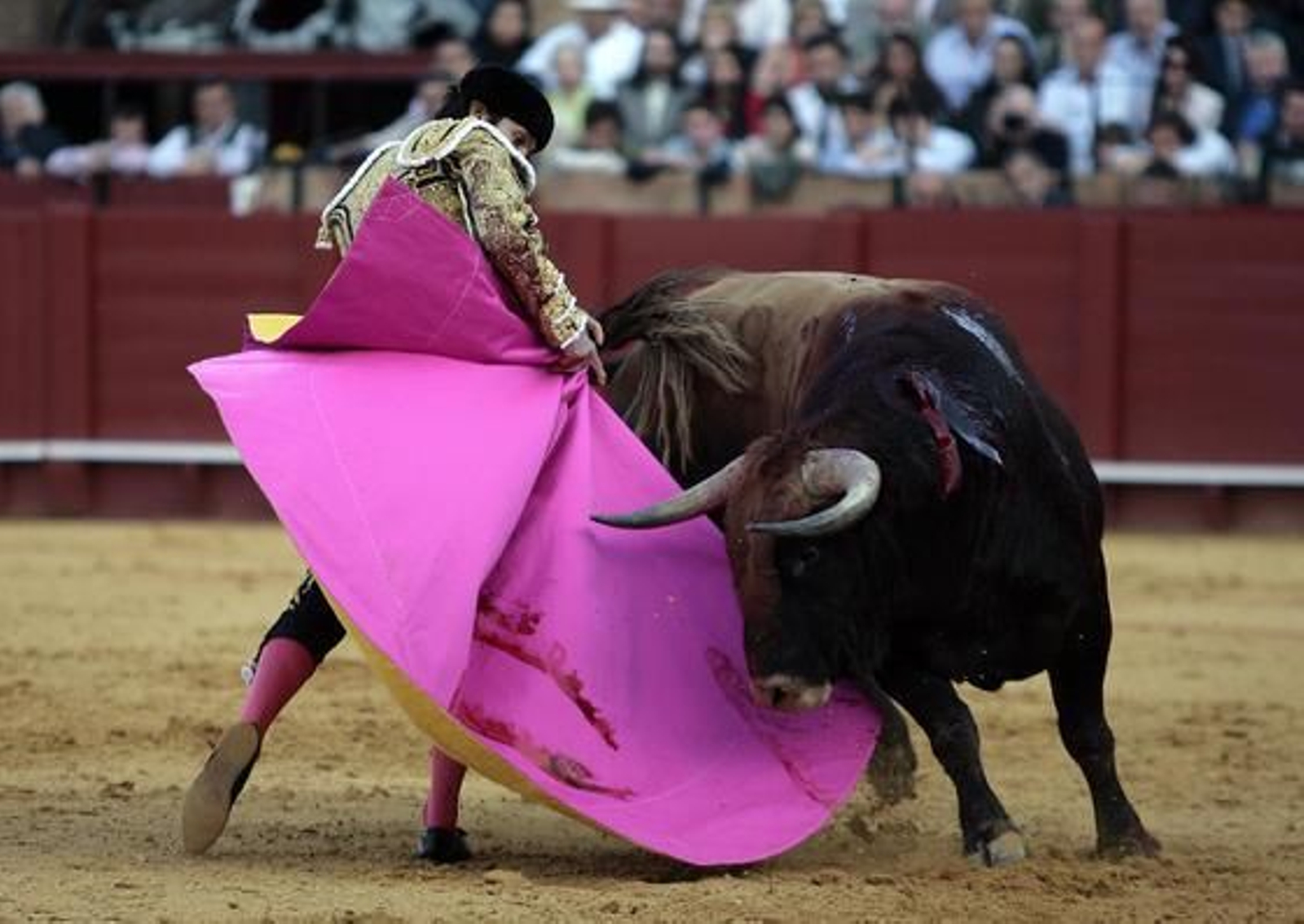 Castella./ Juan Carlos Muñoz