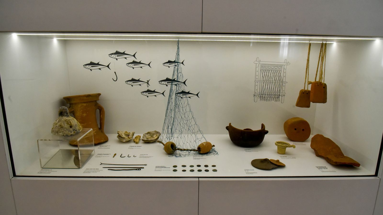 Parte de los restos encontrados en las excavaciones de la calle San Nicolás, en el Museo Municipal