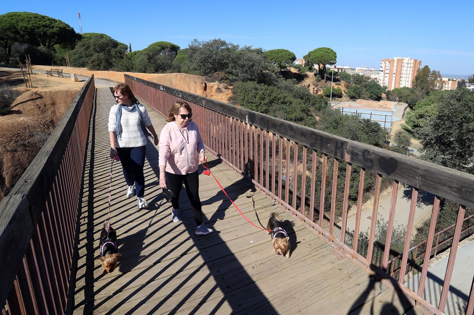Barrio a barrio: Imágenes de Santa Marta