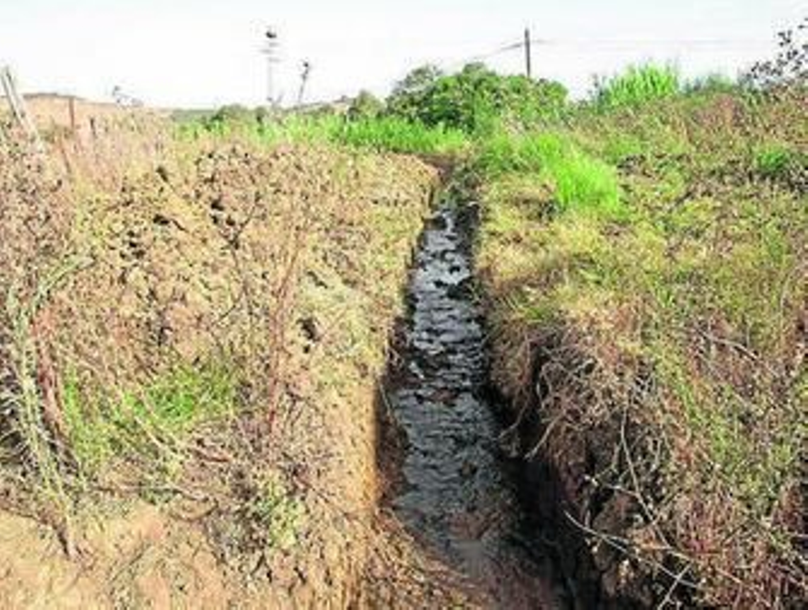 El agua que se pierde transcurre por este pequeño canal.