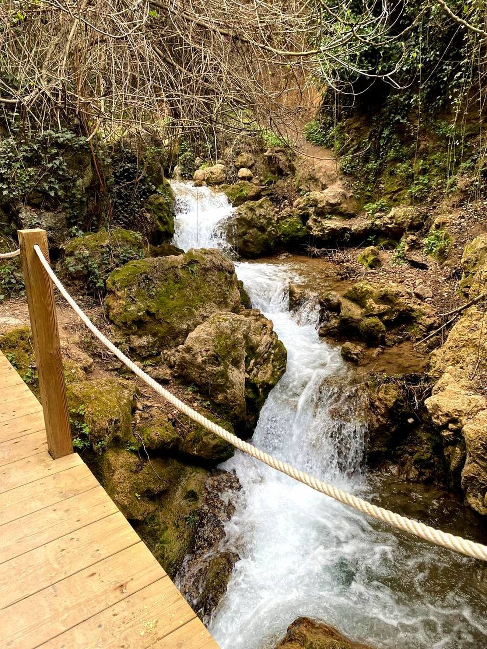 Estas son algunas de las joyas naturales de Jaén que ganan fuerza con la lluvia