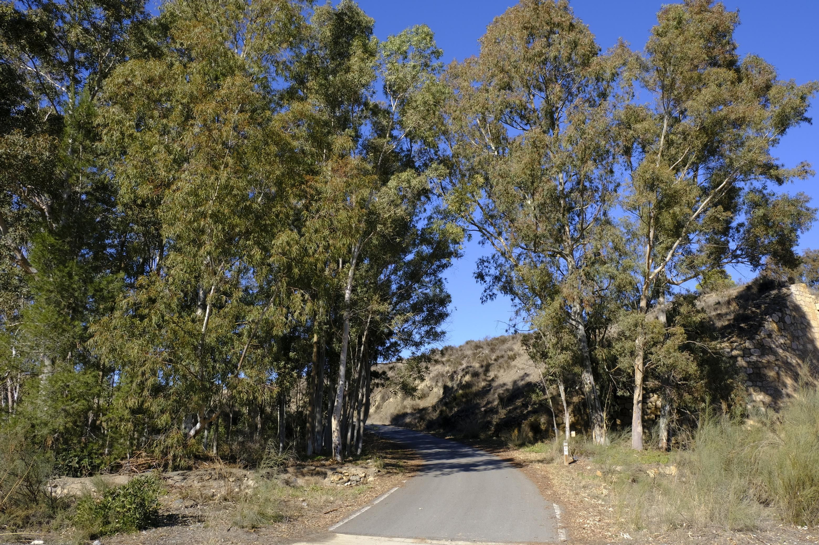 Fotogalería Vía Verde Lucainena de las Torres. Almería