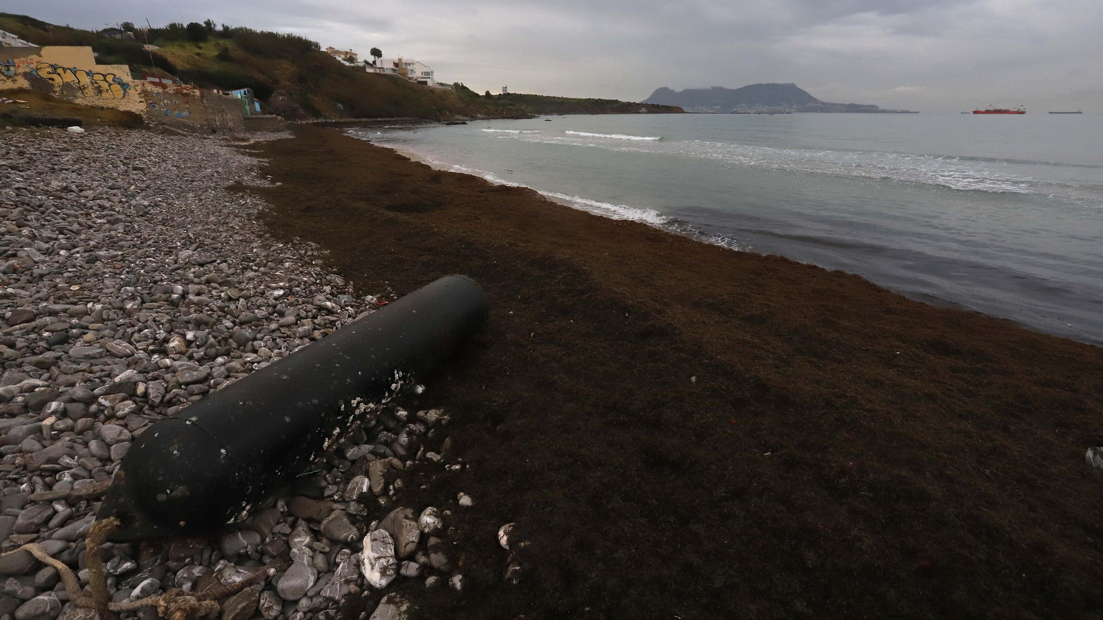 El alga invasora cubre de nuevo la playa de Getares