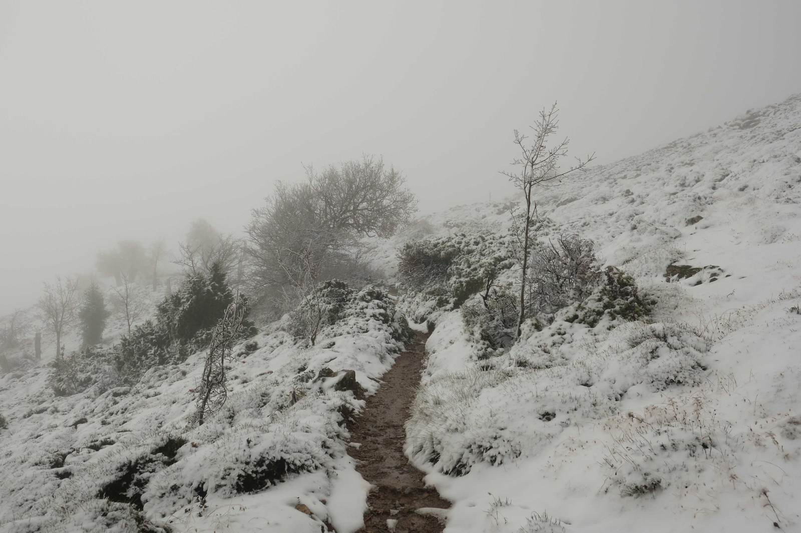 Estampa invernal en al Parque Nacional Sierra de las Nieves, en imágenes