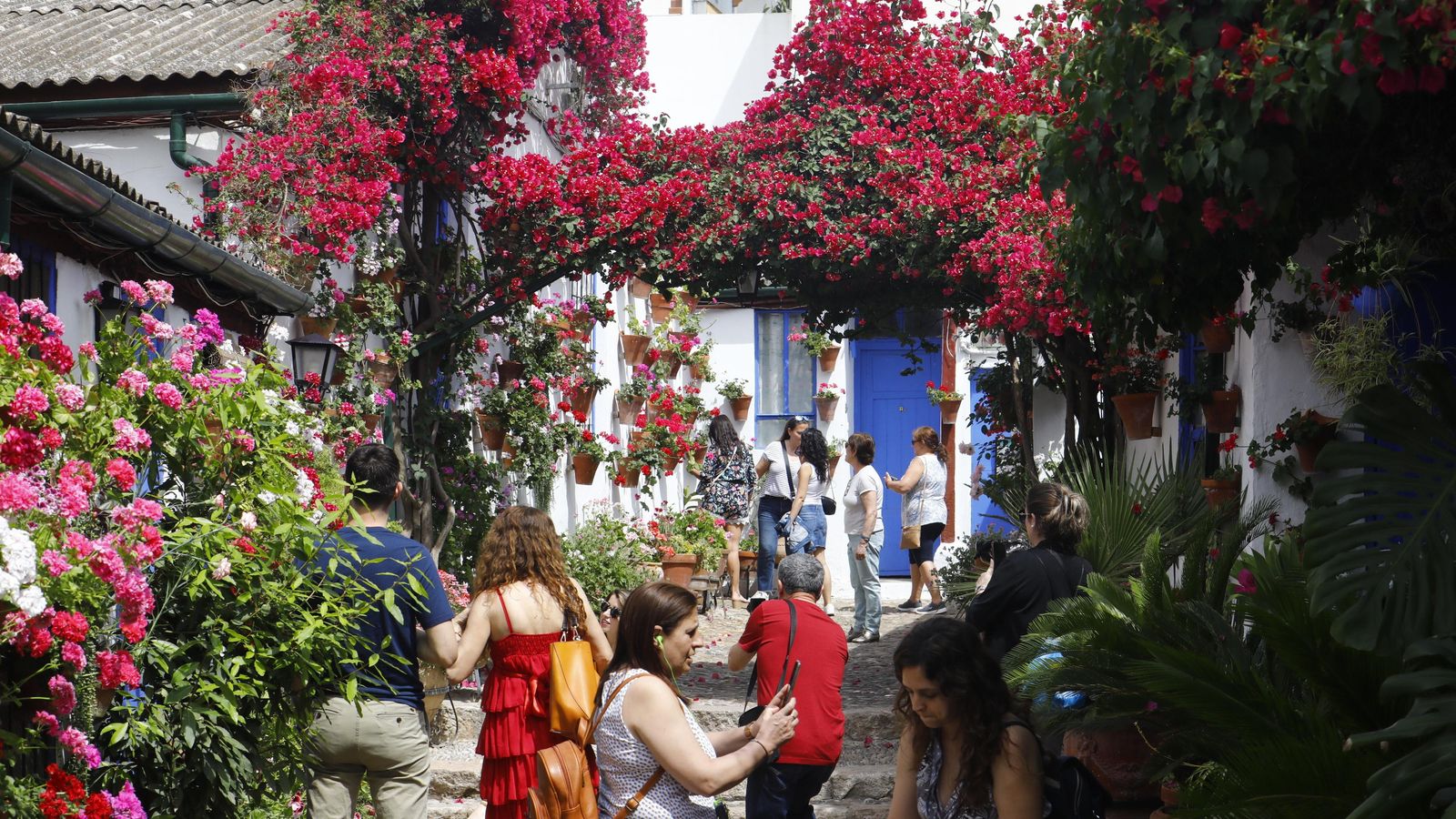 Visitantes en el patio Marroquíes, 6.