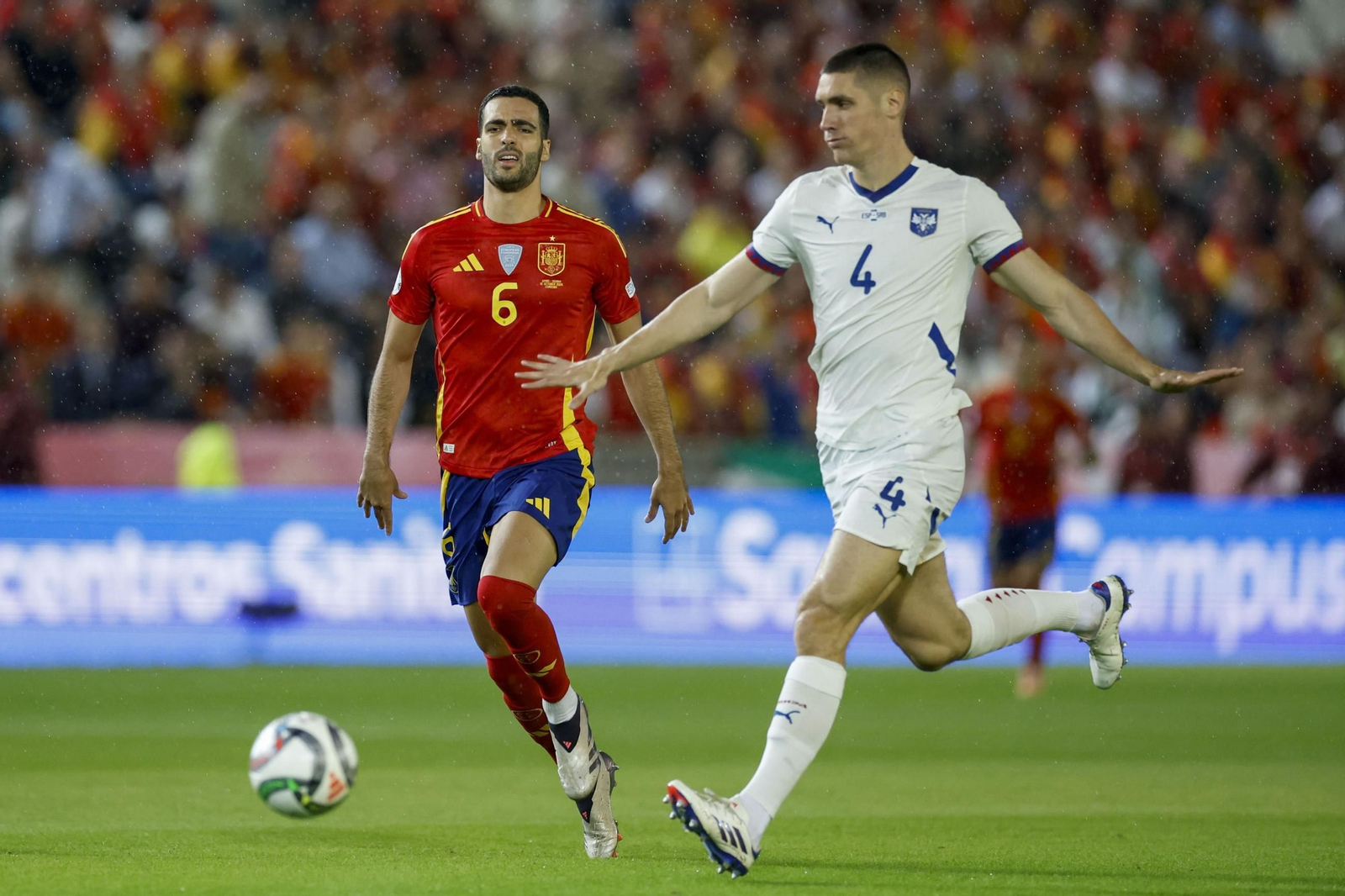 Las fotos del España - Serbia en Córdoba
