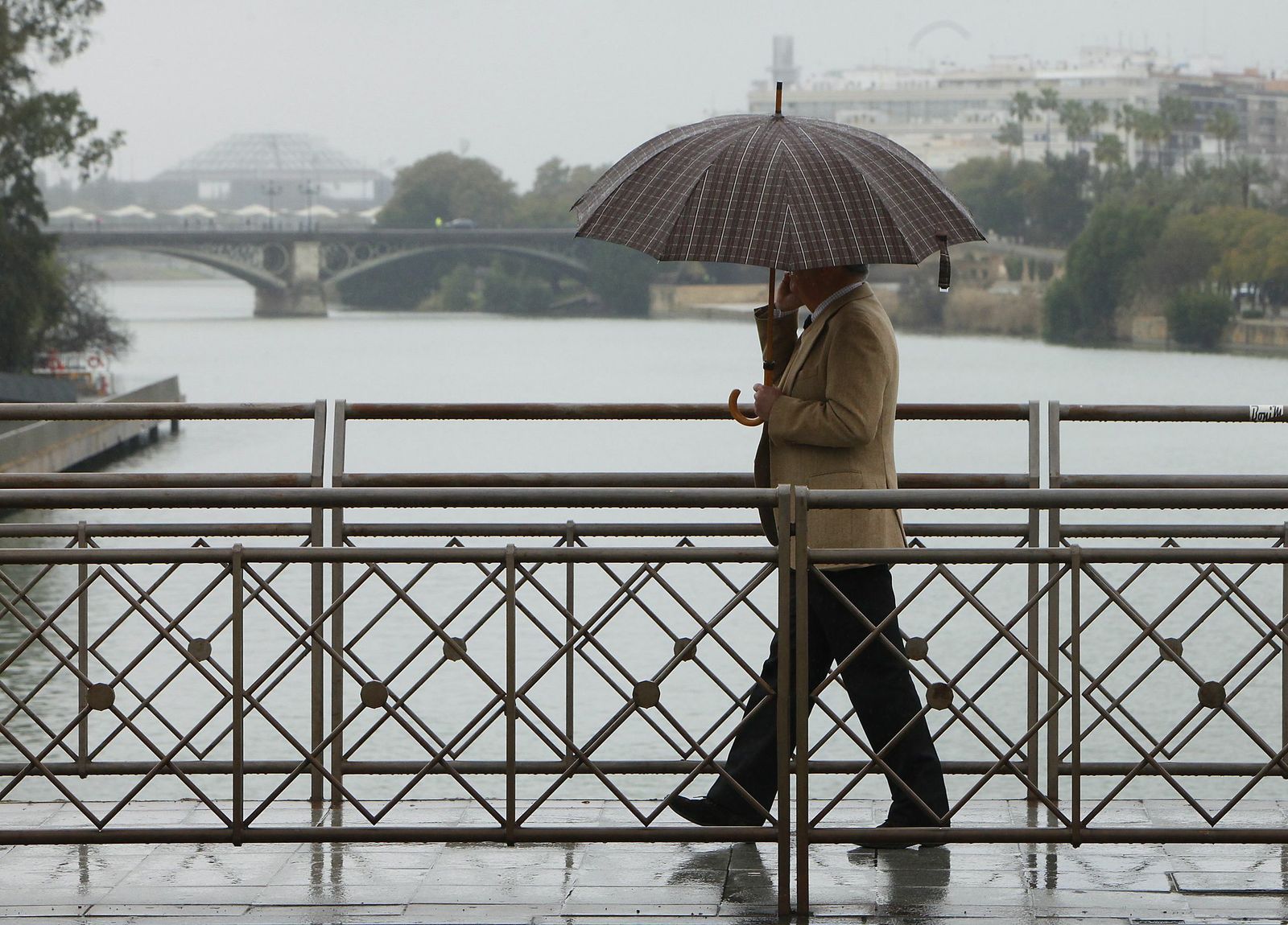 Esta semana llueve en Sevilla