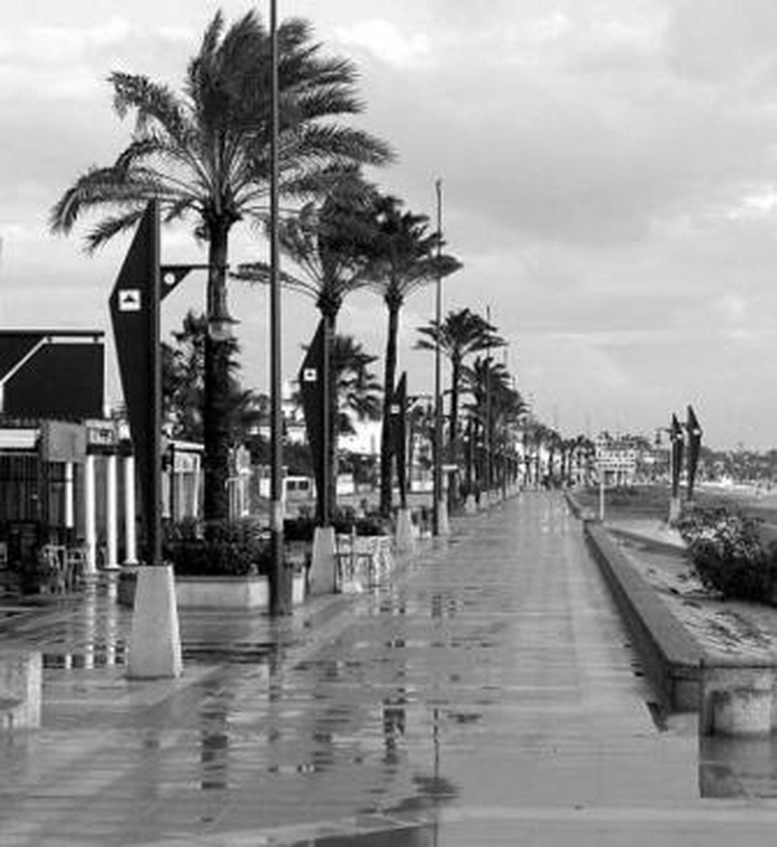 Aspecto que presenta actualmente el paseo marítimo.