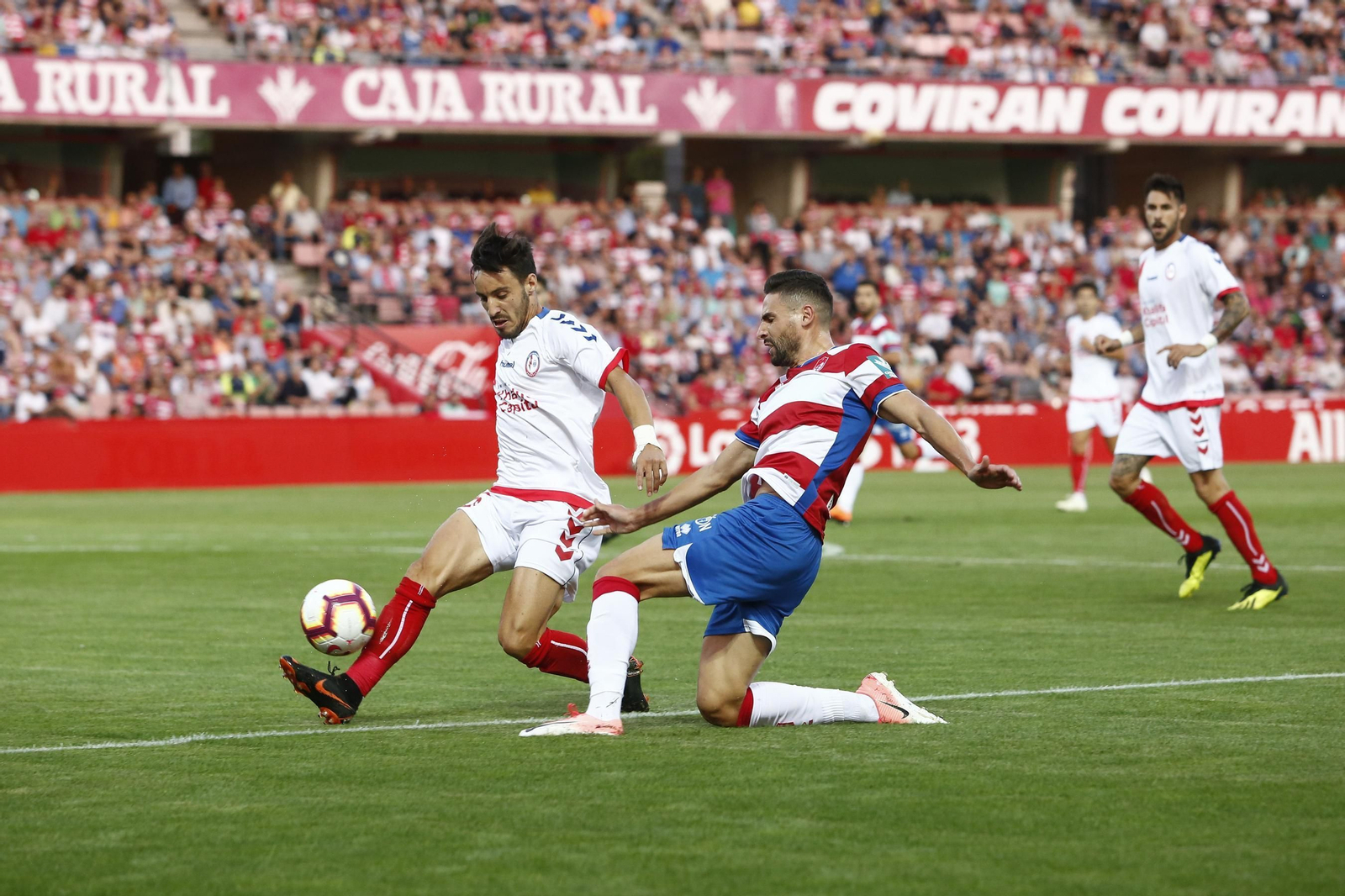 El Granada CF-Rayo Majadahonda, en imágenes