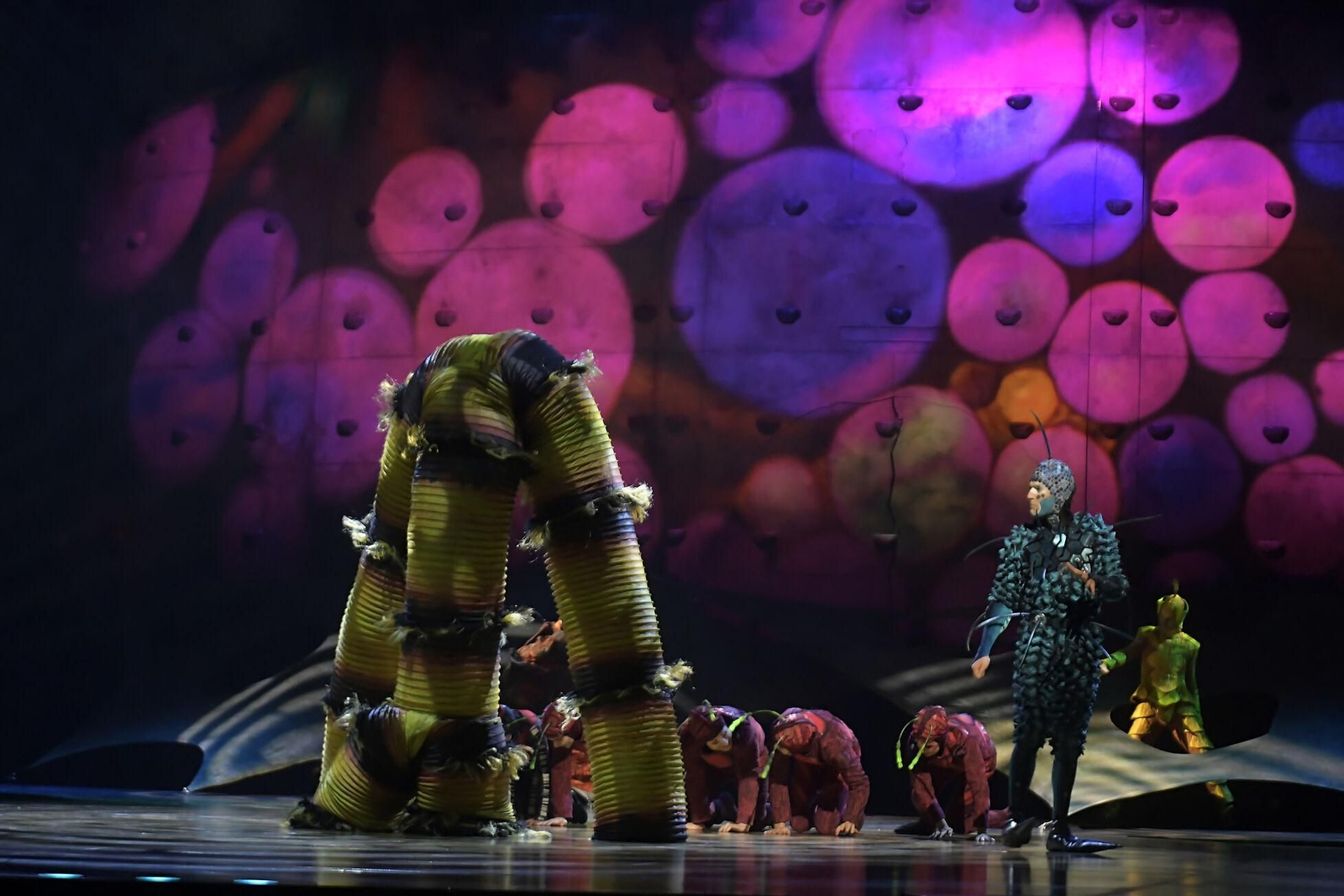 El Circo del Sol brilla en el Palacio de Deportes de Granada