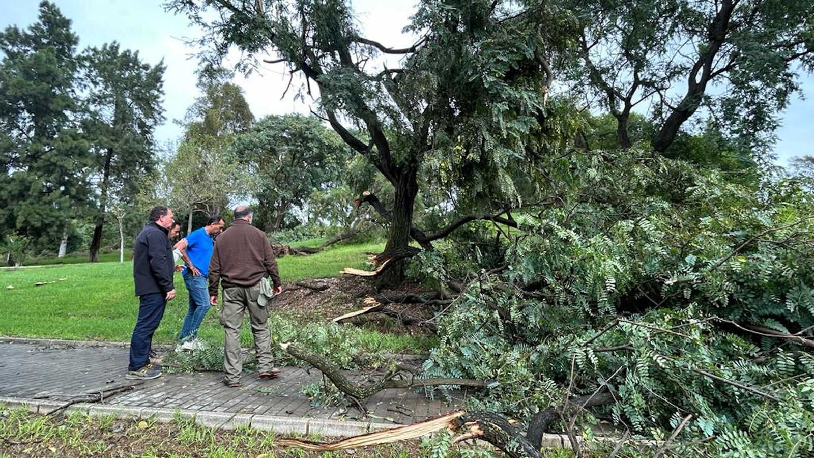 El presidente de la Diputación, David Toscano, visita zonas dañadas por 'Bernard'.
