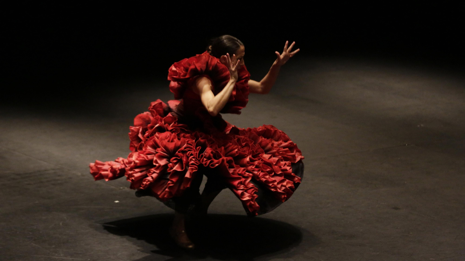 El espectáculo de Ana Morales en La Bienal