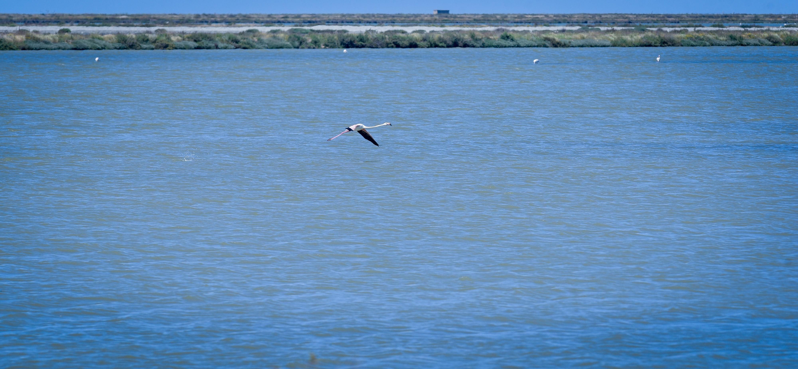 Imágenes de la finca Veta la Palma