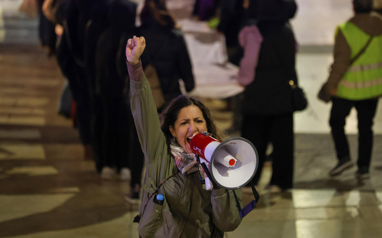 La manifestación del 25N en Málaga, en imágenes