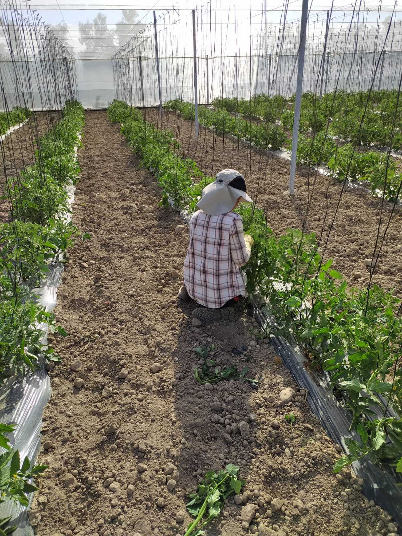 Coag Almería exige más presupuesto para impulsar el relevo generacional en Almería