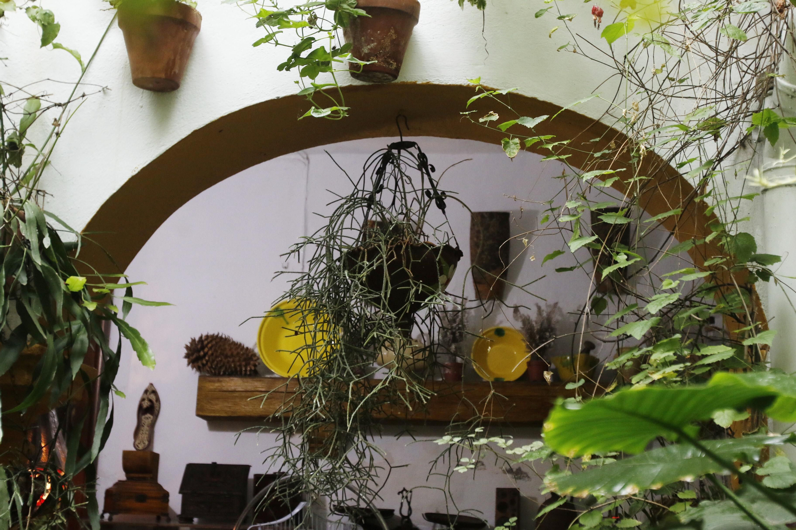 Los Patios de Córdoba en tiempos de crisis: Alfonso XII, 29