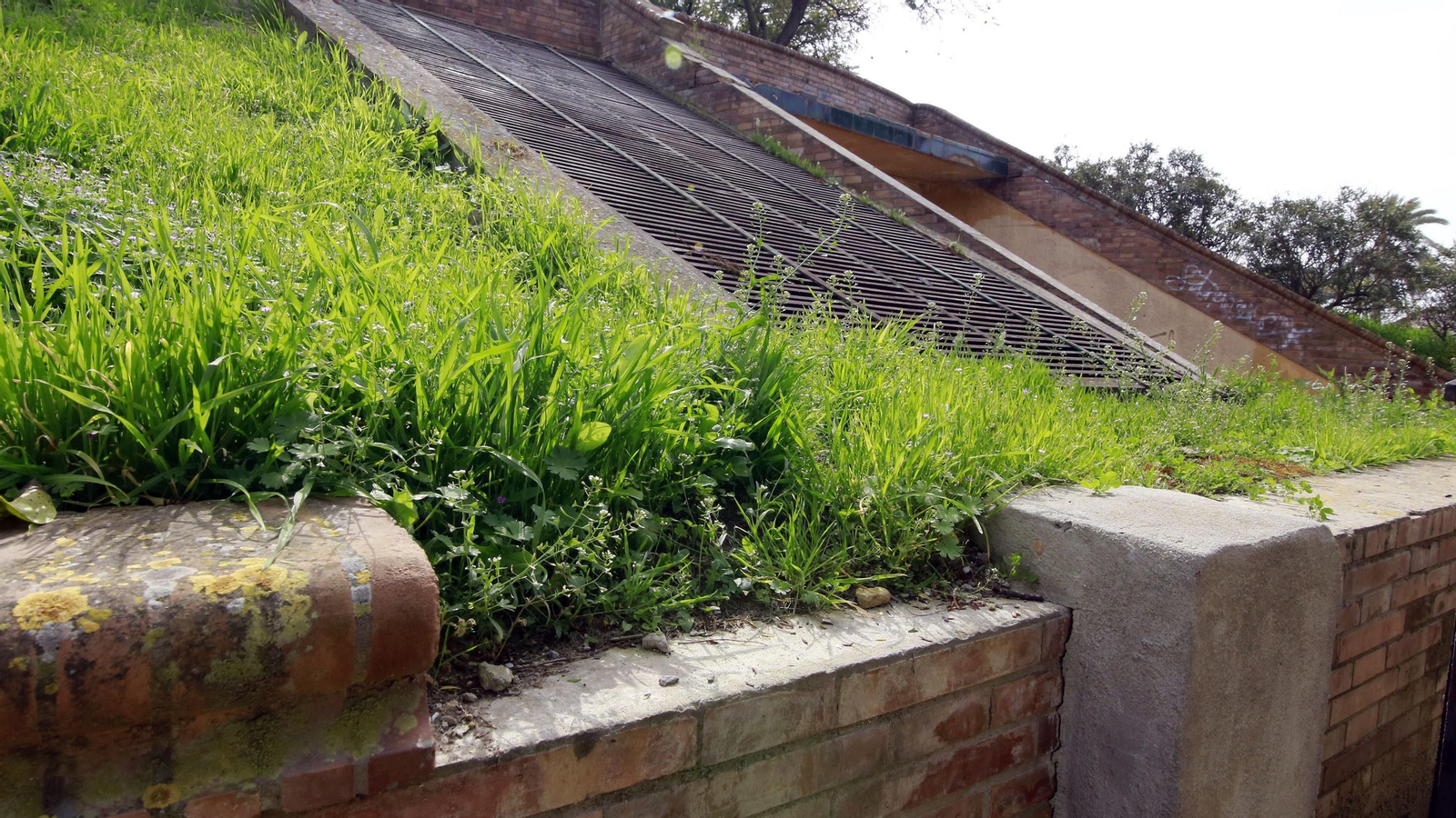 Abandono en la Alameda Vieja