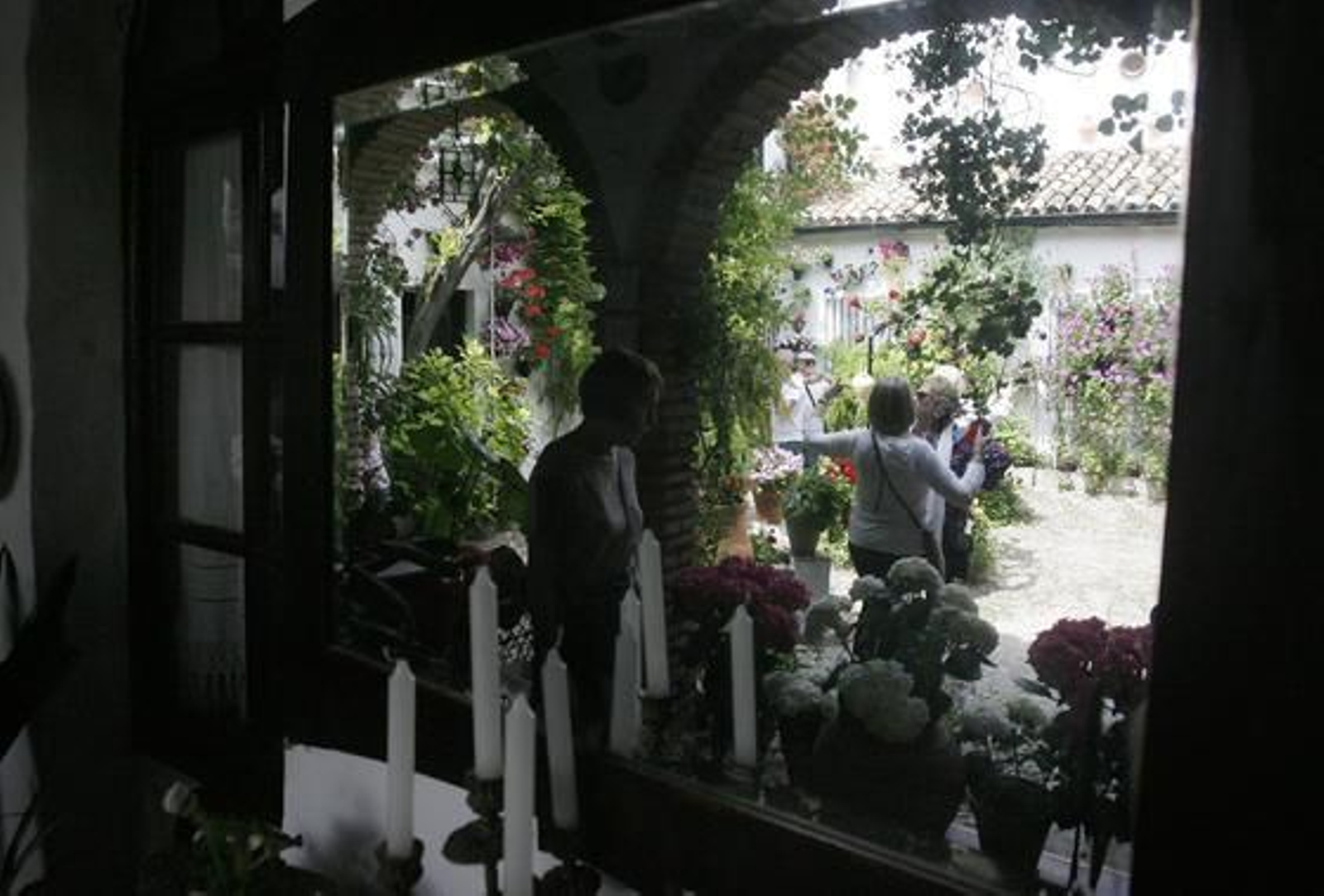 Foto: José Martínez