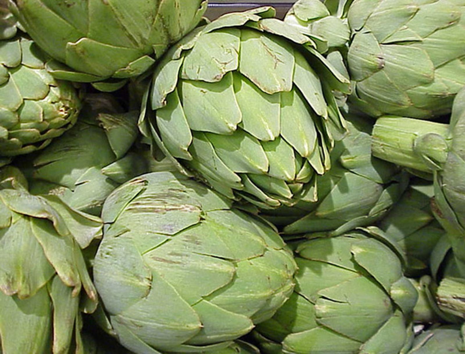 Hacer dieta para adelgazar es el objetivo de uno de cada cuatro españoles